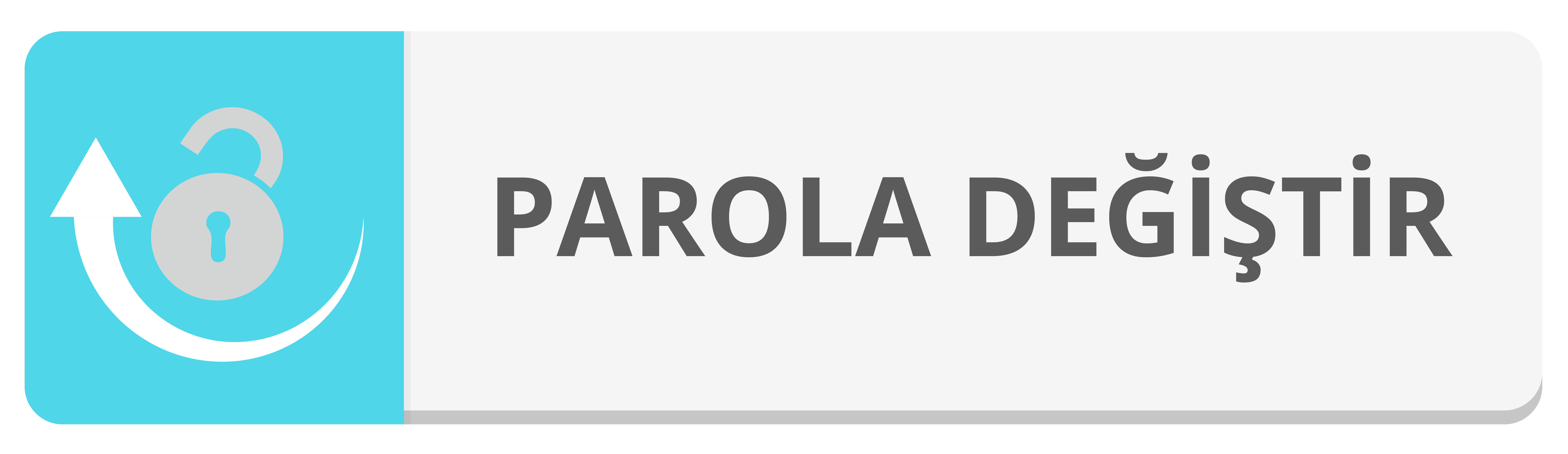parola degistir